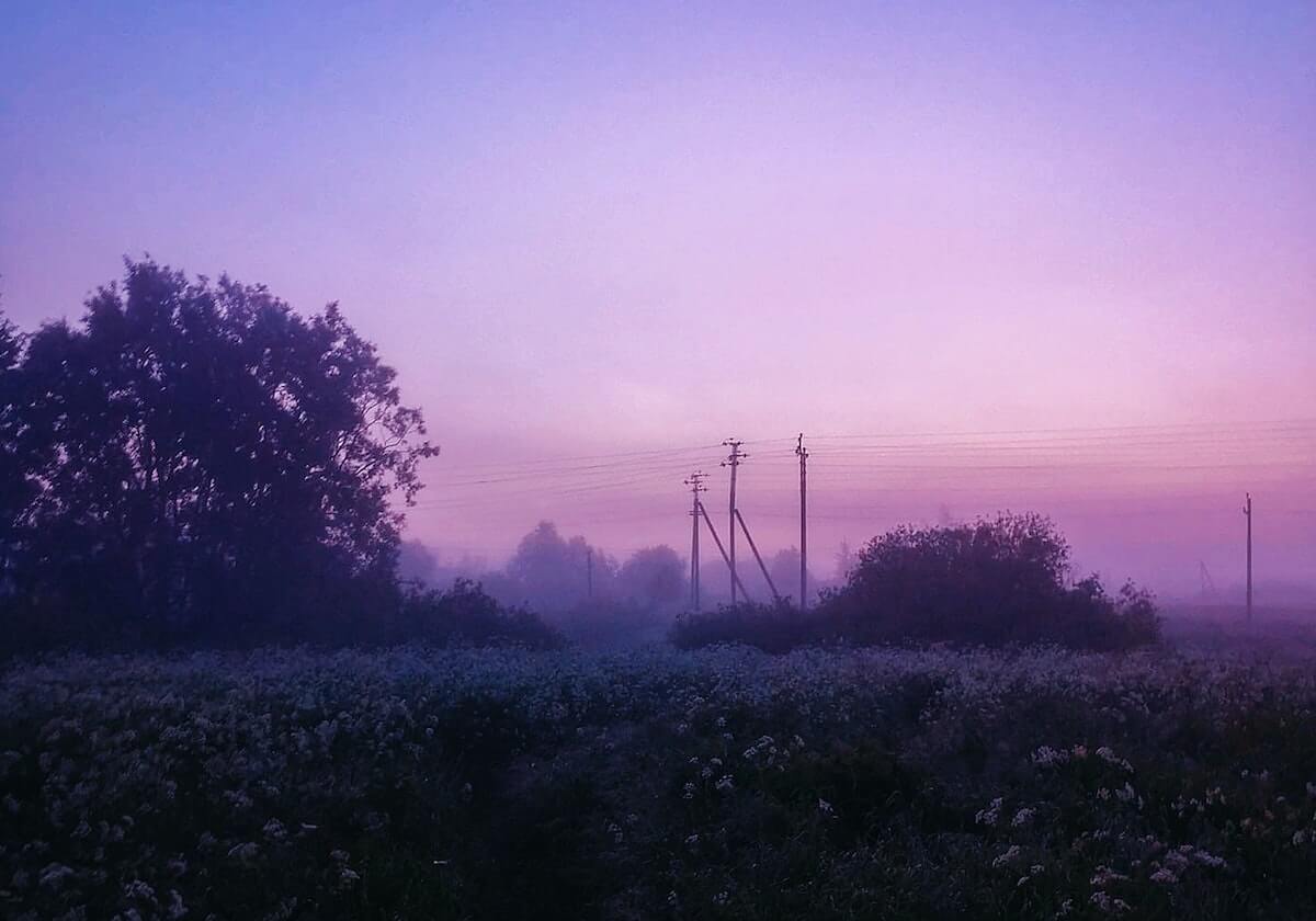 8868体育官网入口：开启体育娱乐新纪元的官方通道